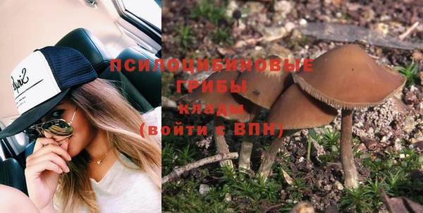 МДПВ Мегион