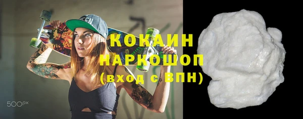 эйфоретик Няндома