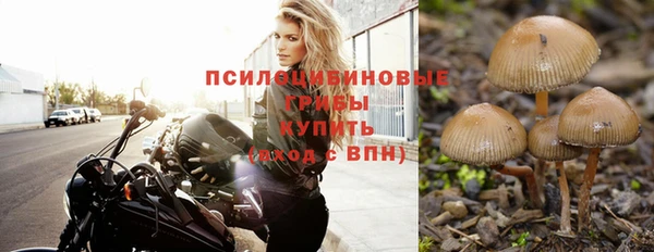 МДПВ Мегион